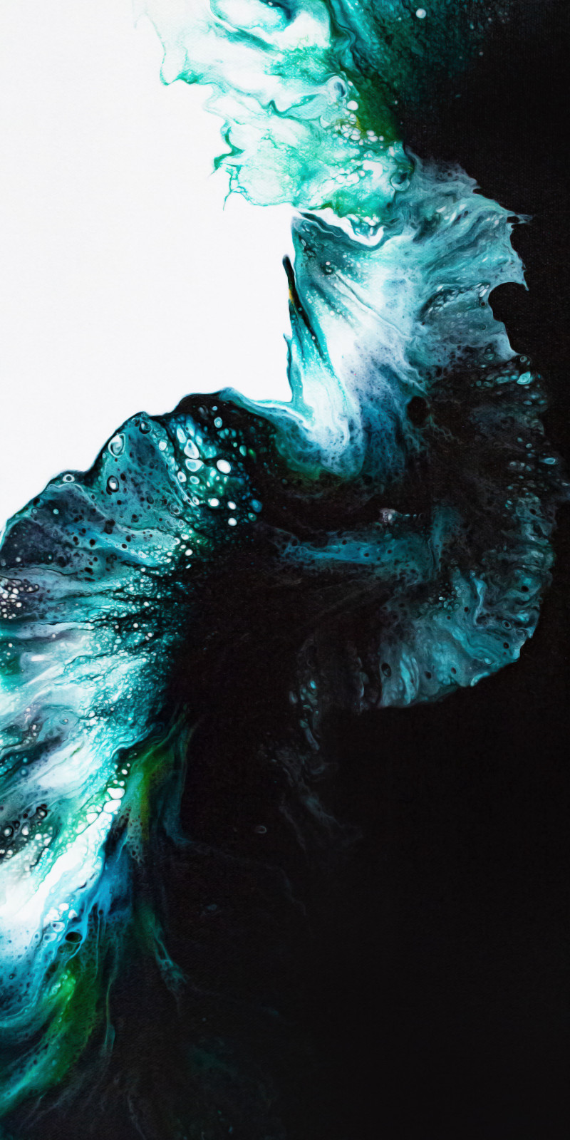 image of art print Peacock